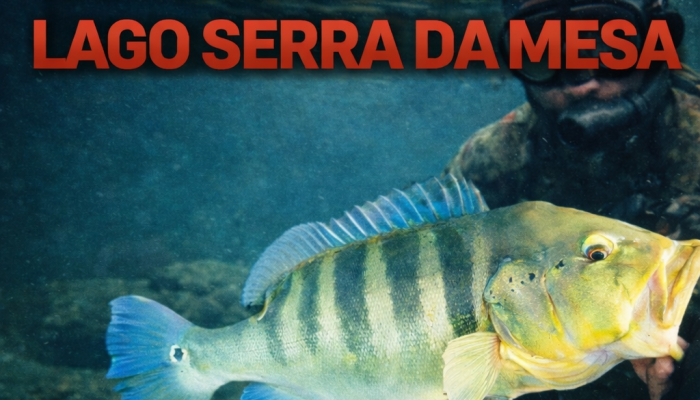 Pesca irregular no Lago Serra da Mesa