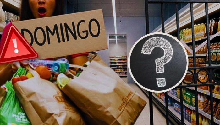 domingo-alerta-portao-montagem-lennita-tv-foco-1